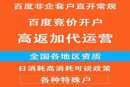 成功SEM竞价托管案例分析报告